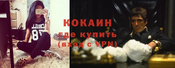 первитин Няндома