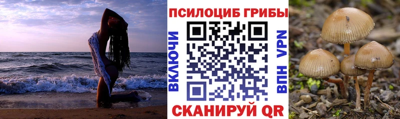 мориарти какой сайт  Луга  Галлюциногенные грибы мухоморы 