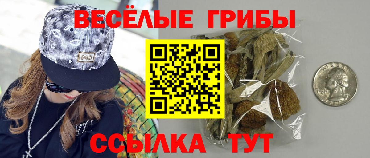 Галлюциногенные грибы GOLDEN TEACHER Луга