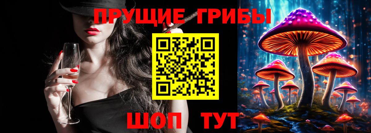 Псилоцибиновые грибы прущие грибы  Вход с VPN  Луга  Галлюциногенные грибы Psilocybe 