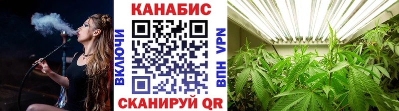 Шишки марихуана планчик купить сайты Луга